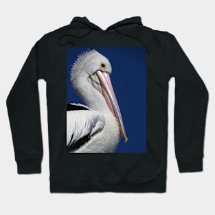 Australian Pelican Hoodie